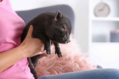 Woman with cute mini pig on sofa at home, closeup