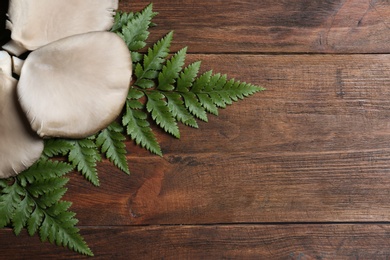 Delicious organic oyster mushrooms and leaves on wooden background, top view with space for text