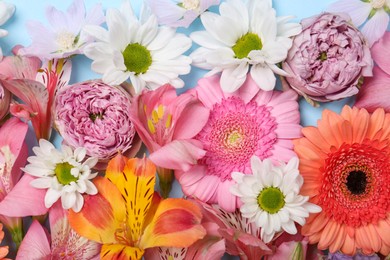 Flat lay composition with different beautiful flowers on light blue background