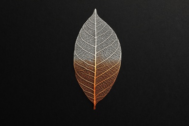 Photo of Beautiful decorative skeleton leaf on black background, top view