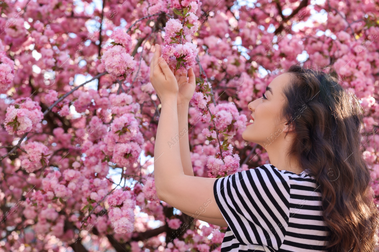 Photo of Beautiful woman near blossoming sakura tree on spring day