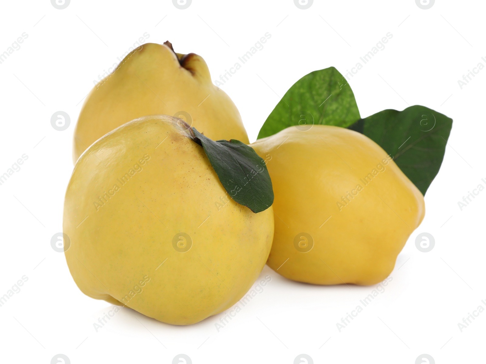 Photo of Ripe fresh quinces with green leaves on white background