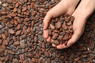 Photo of Woman holding pile of cocoa beans, top view. Space for text