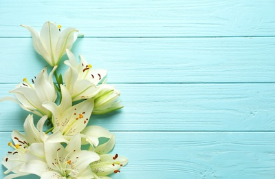 Photo of Flat lay composition with lily flowers on color background
