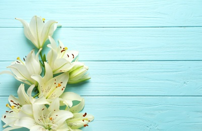 Flat lay composition with lily flowers on color background