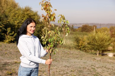 Photo of Mature woman with sapling in park on sunny day, space for text. Planting tree