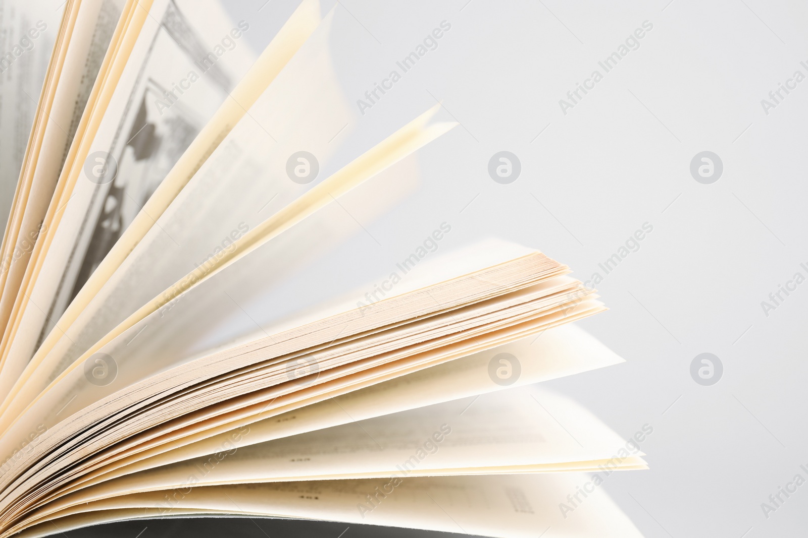 Photo of Closeup view of open book on light background