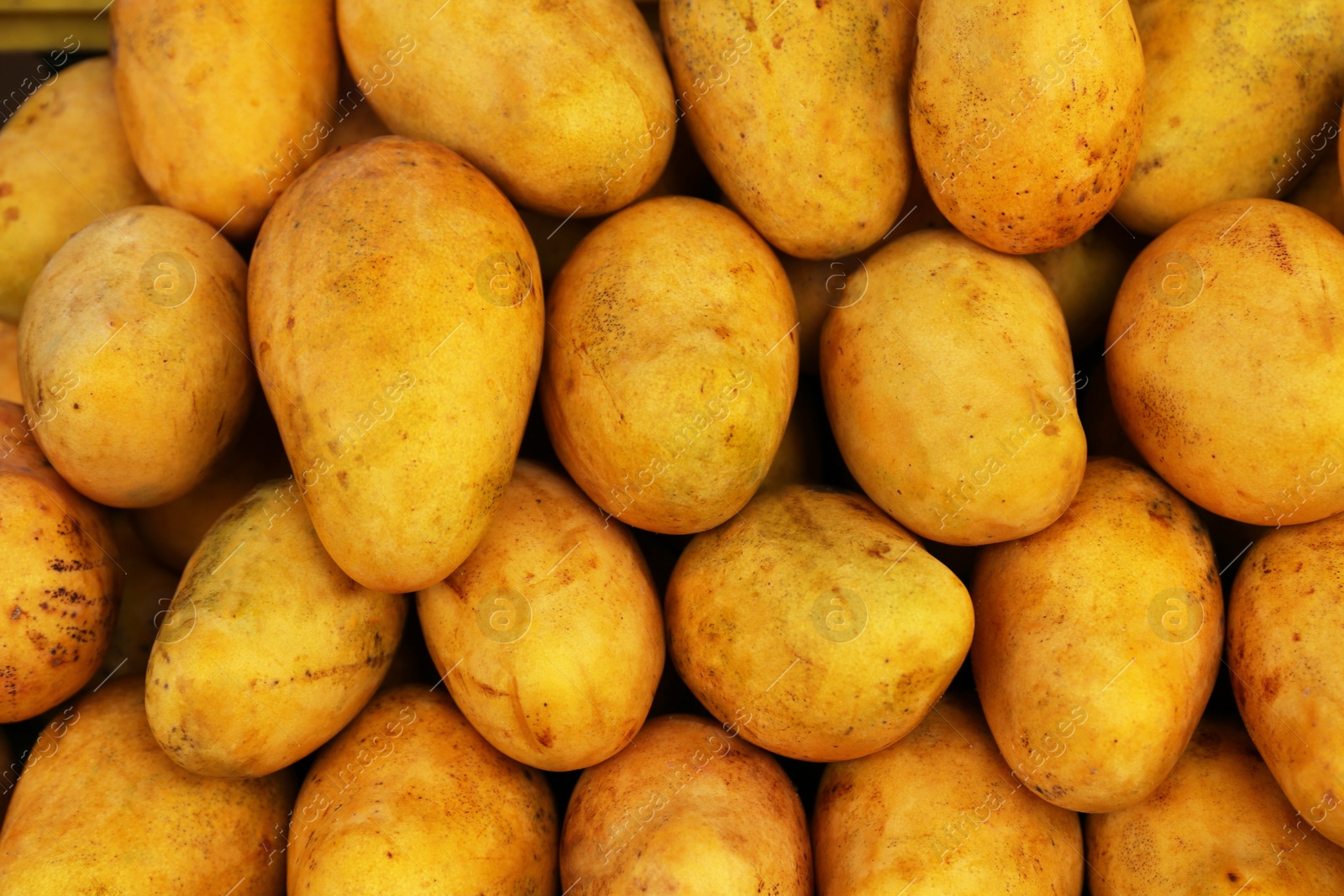 Photo of Pile of delicious ripe yellow mangoes, closeup