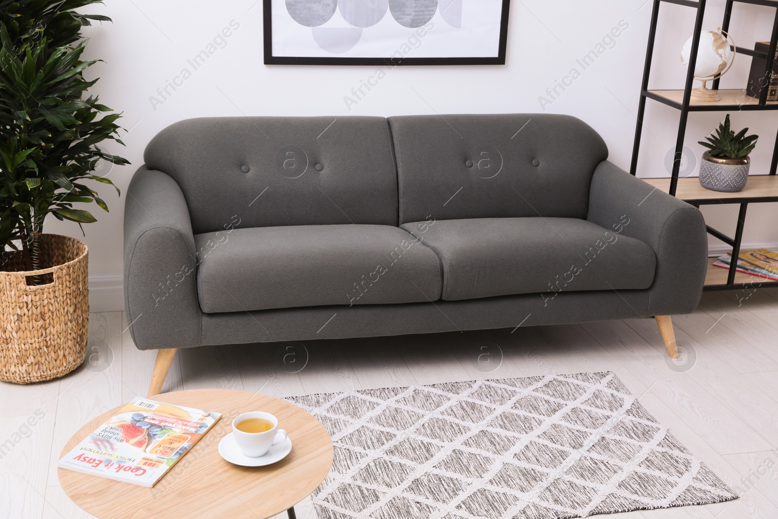 Photo of Stylish living room interior with grey rug, comfortable sofa and plants
