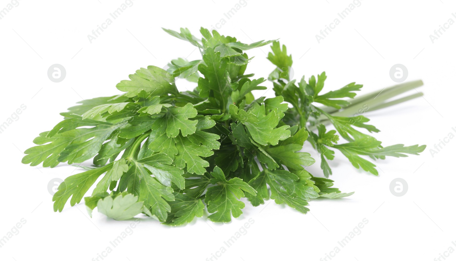 Sprigs of fresh green parsley leaves isolated on white Photo of Sprigs of fresh green parsley leaves isolated on white