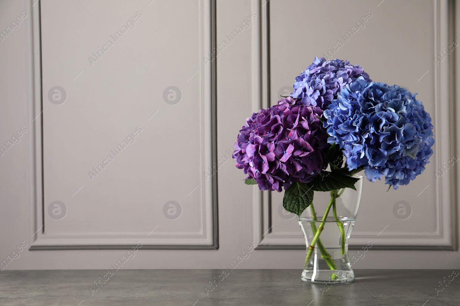 Photo of Bouquet with beautiful hortensia flowers on stone table near grey wall. Space for text