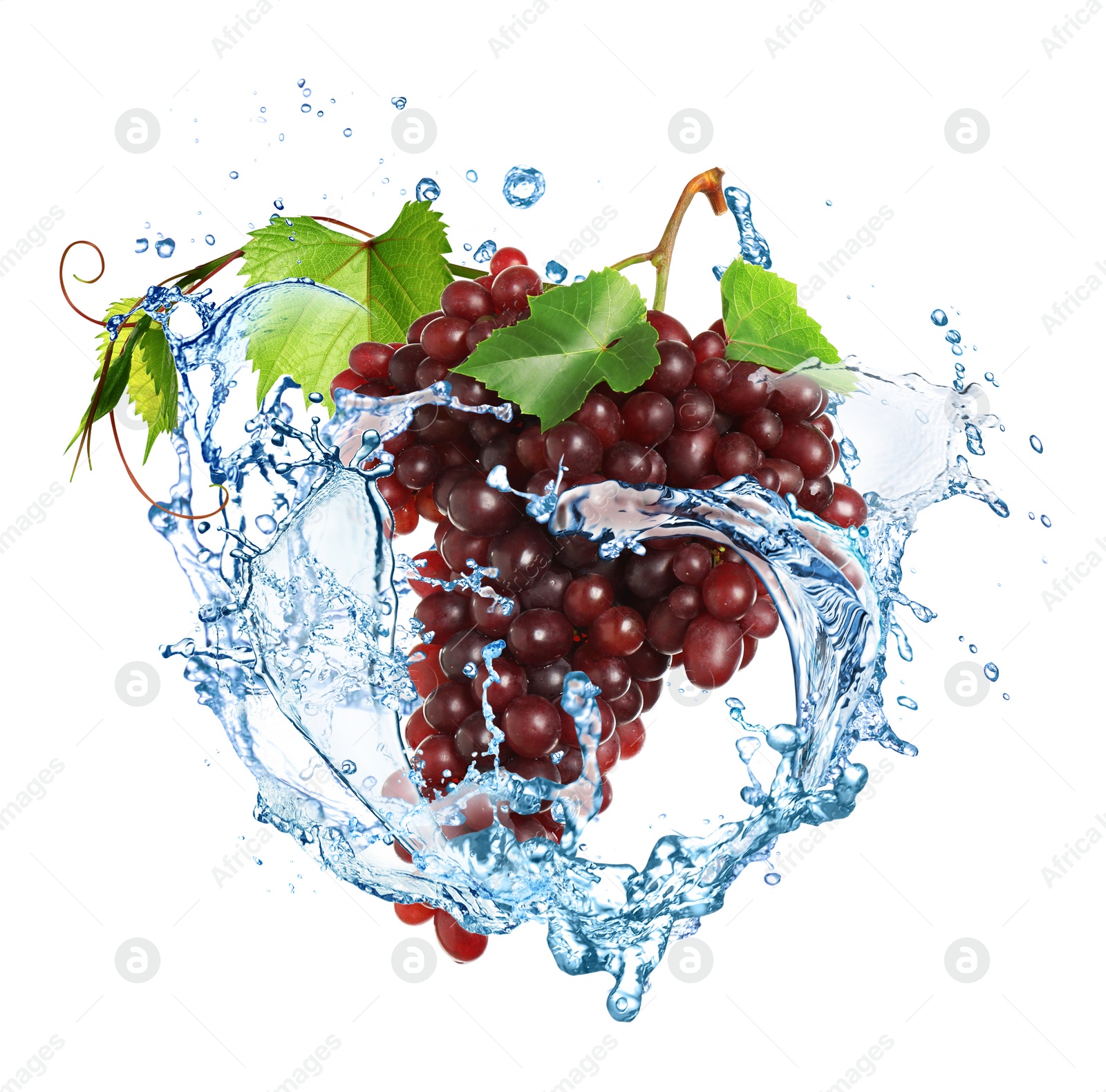 Image of Grape cluster with water splash on white background