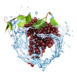 Image of Grape cluster with water splash on white background