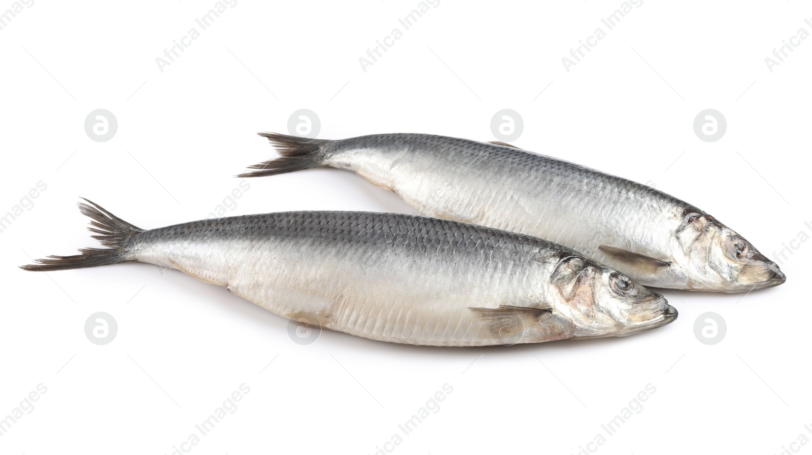 Photo of Whole delicious salted herrings isolated on white