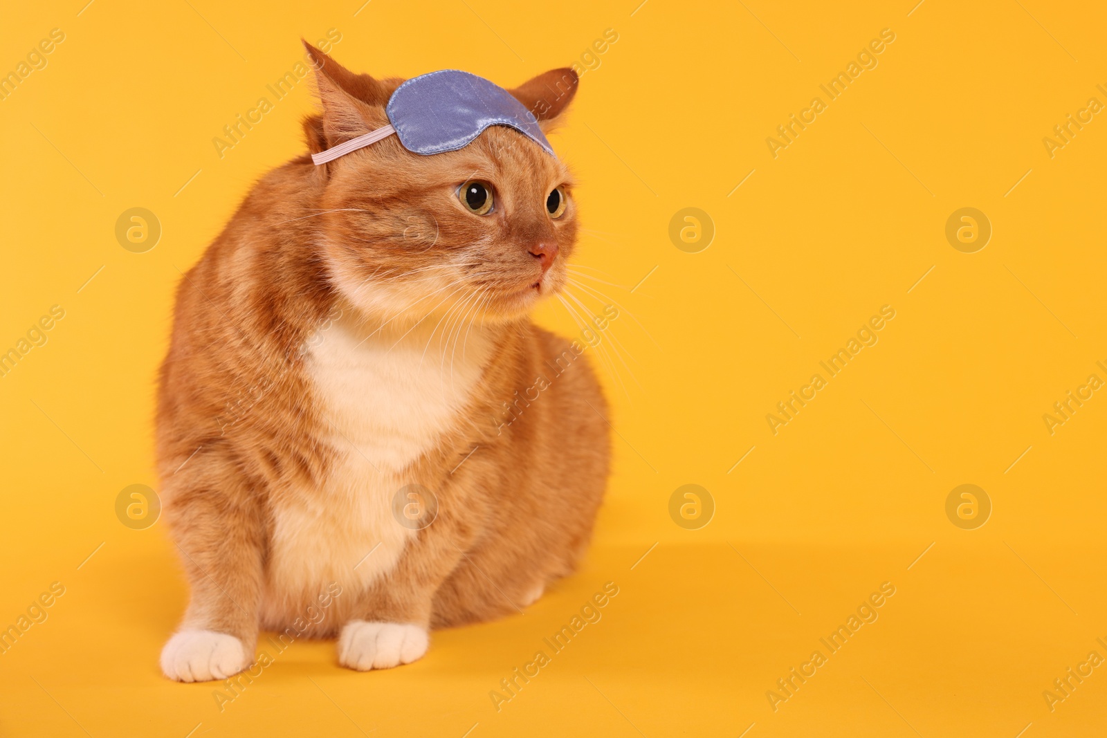 Photo of Cute ginger cat with sleep mask on orange background, space for text