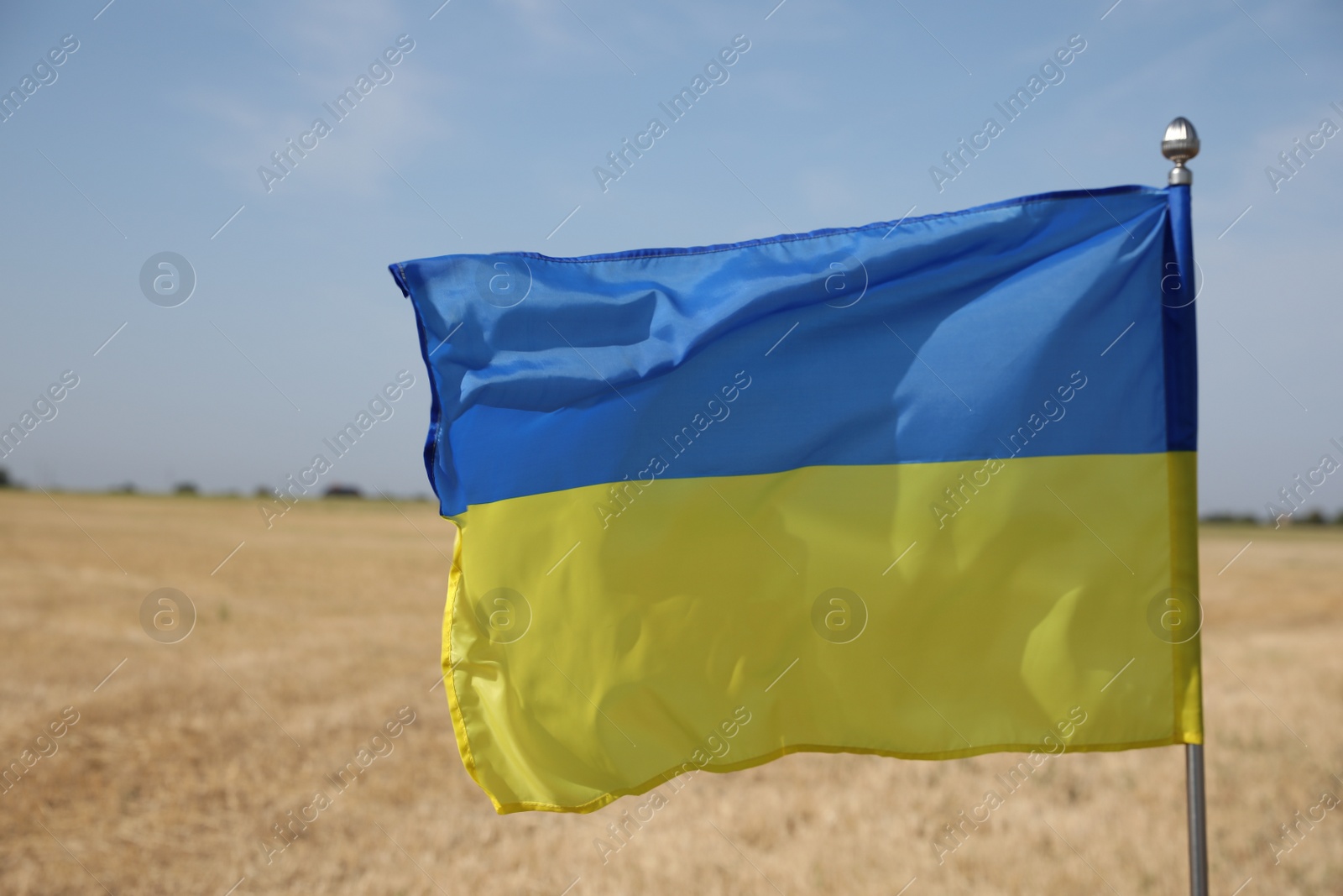 Photo of National flag of Ukraine in wheat field against blue sky, closeup