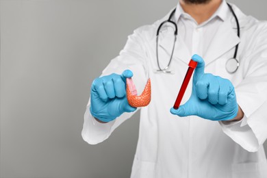 Photo of Endocrinologist showing thyroid gland model and blood sample on light grey background, closeup. Space for text
