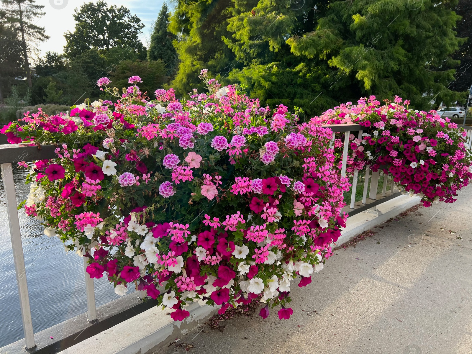 Photo of View of beautiful flowers on bridge over water