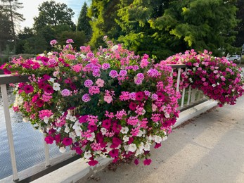 Photo of View of beautiful flowers on bridge over water