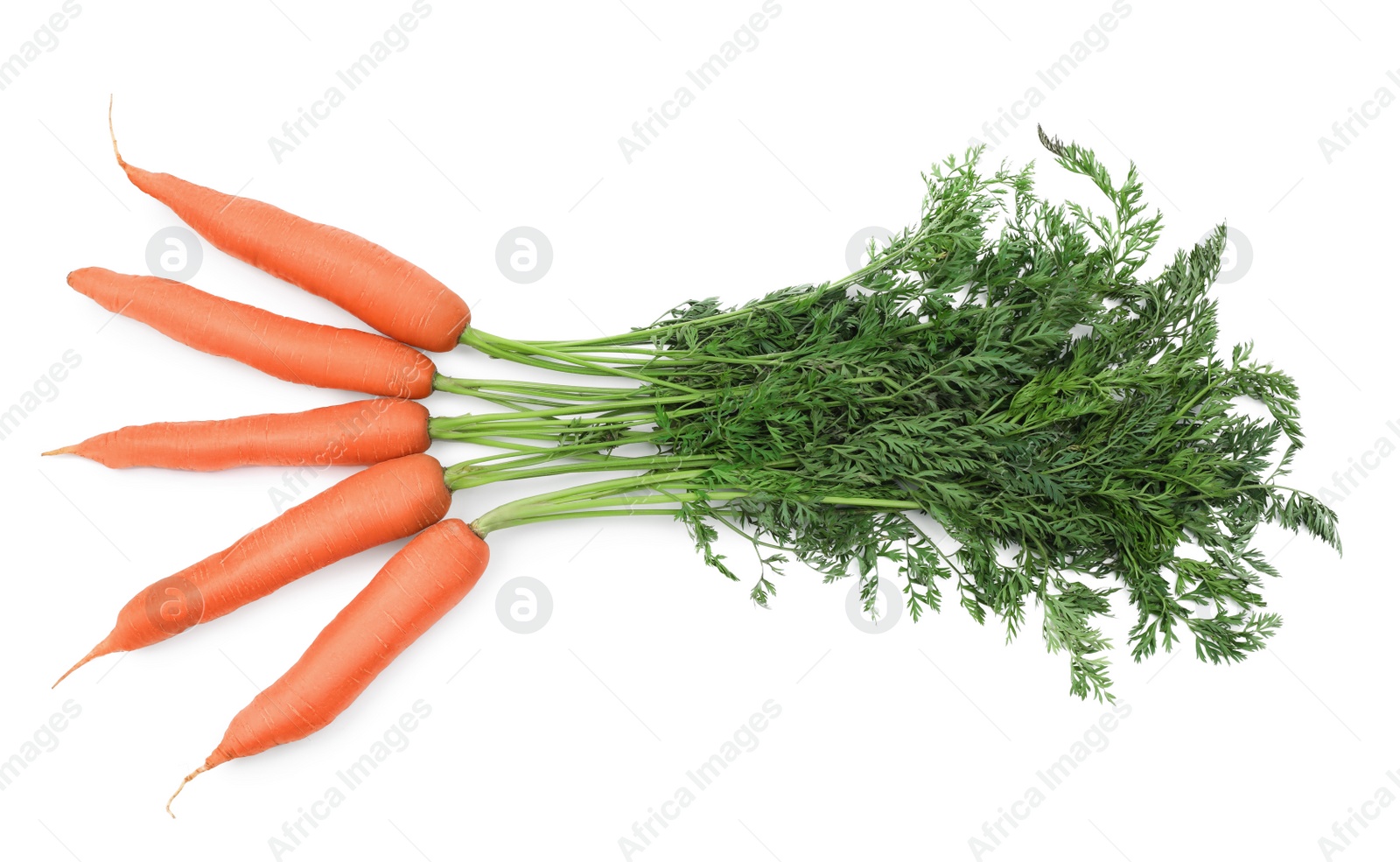 Photo of Many tasty ripe carrots on white background, top view
