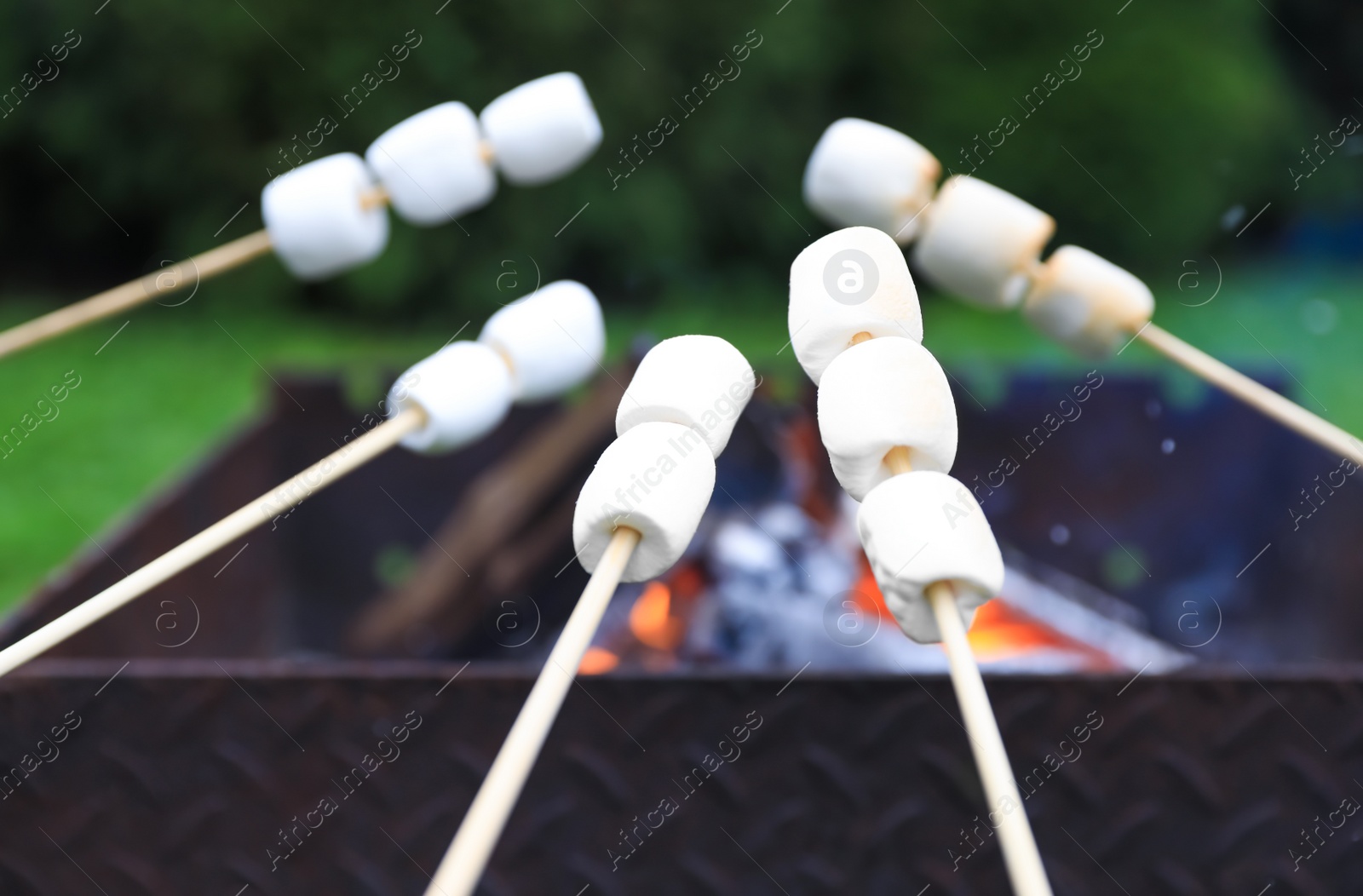 Photo of Delicious puffy marshmallows roasting over bonfire, closeup