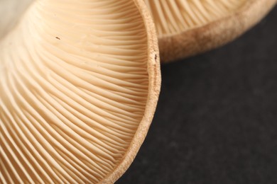 Photo of Fresh oyster mushrooms on black background, closeup. Space for text