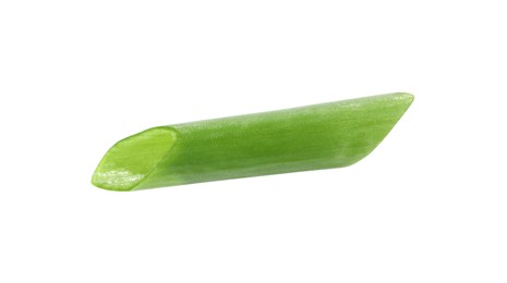 Piece of fresh green onion isolated on white