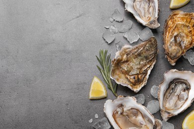 Fresh oysters with lemon, rosemary and ice on grey table, flat lay. Space for text
