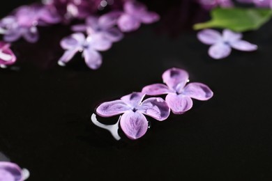 Beautiful lilac flowers in water on black surface, closeup