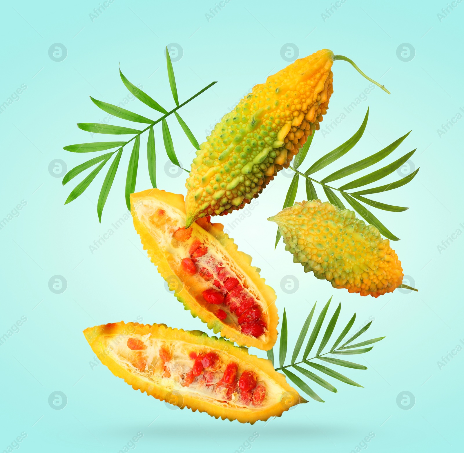 Image of Delicious ripe bitter melons and leaves falling on light turquoise background