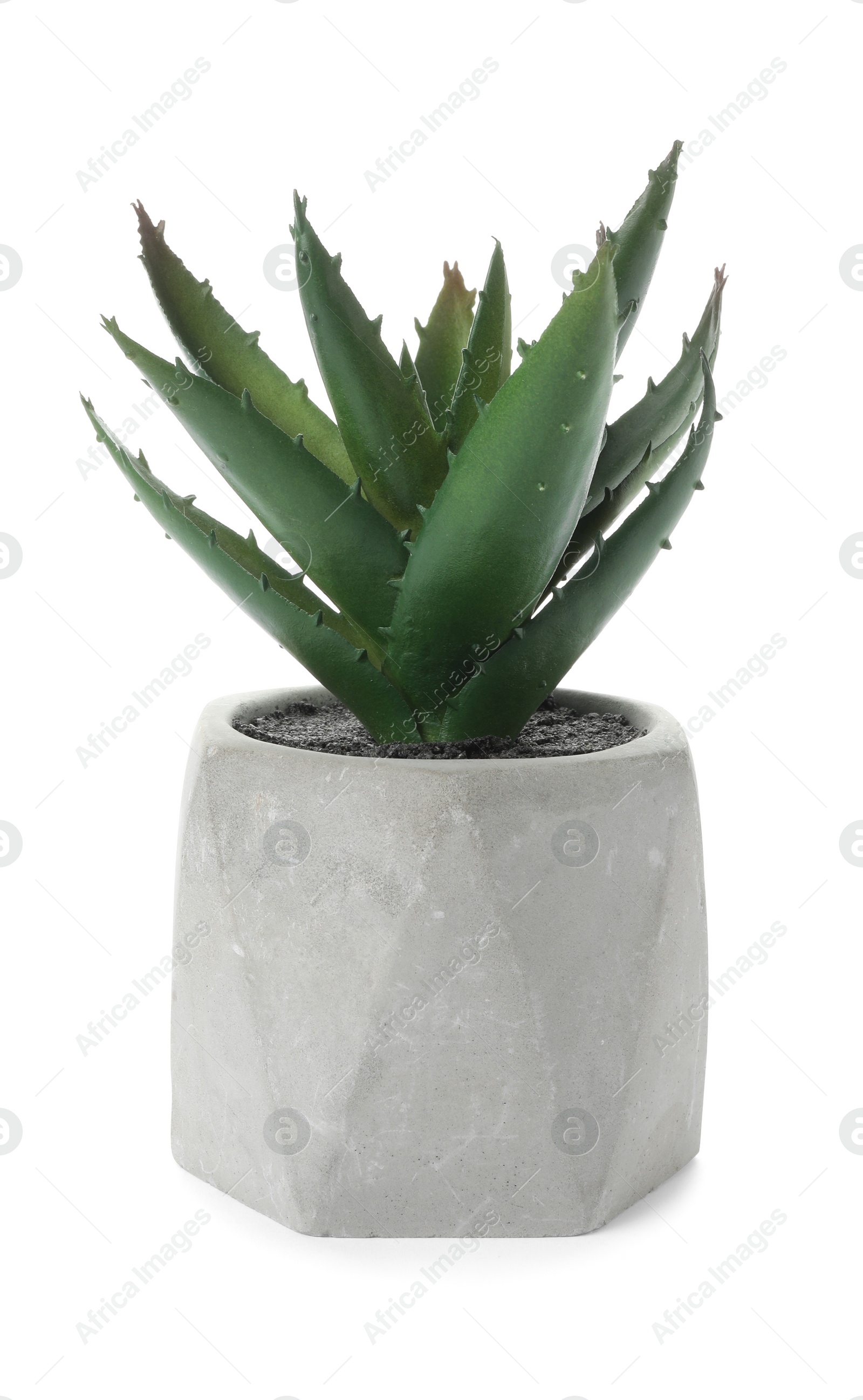 Photo of Beautiful artificial plant in flower pot isolated on white