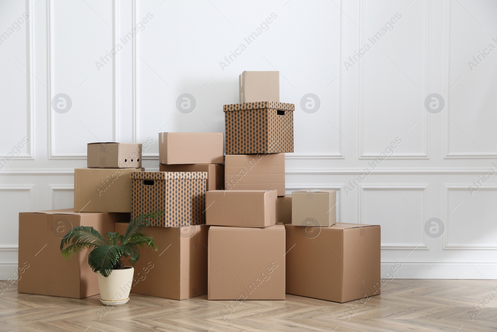 Photo of Heap of cardboard boxes and houseplant near white wall indoors. Moving day