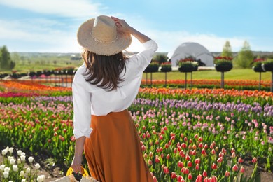 Woman in beautiful tulip field on sunny day, back view