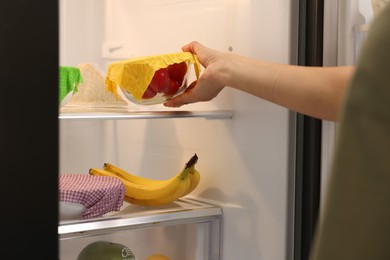 Photo of Woman putting bowl of fresh tomatoes covered with beeswax food wrap into refrigerator, closeup