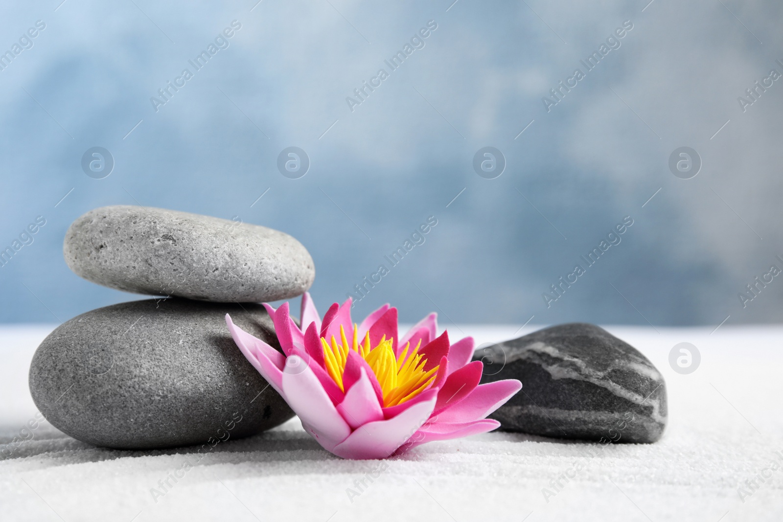 Photo of Zen garden. Beautiful lotus flower and stones on white sand, space for text