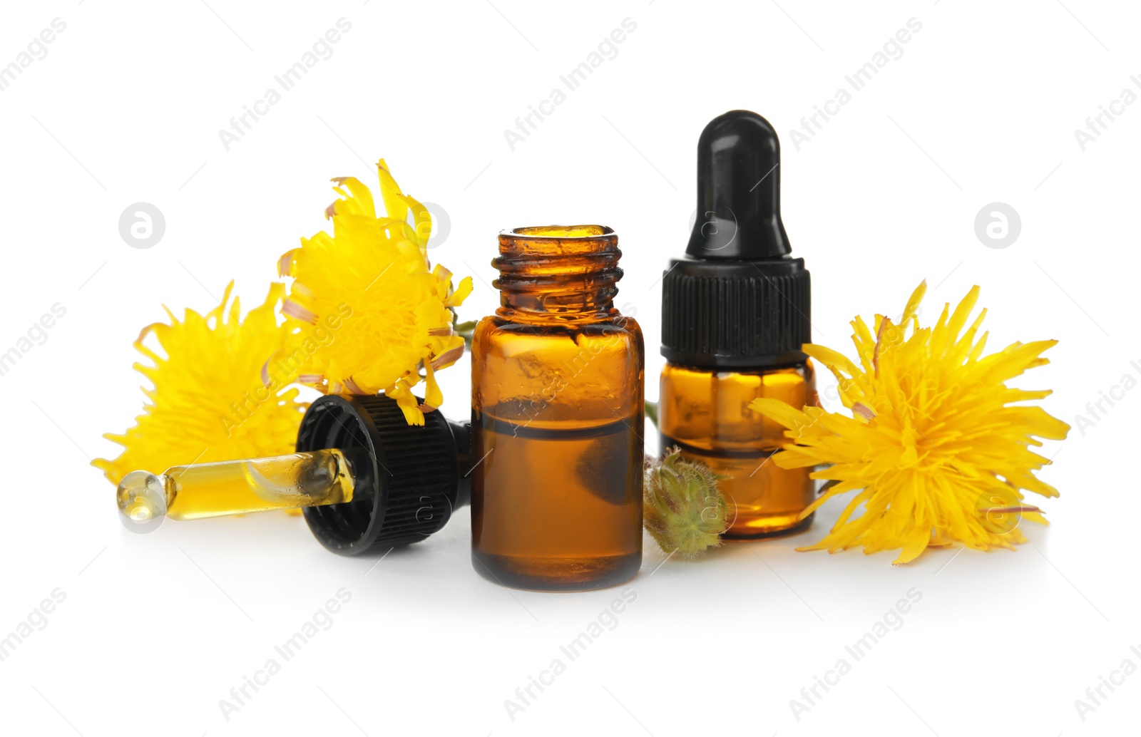 Photo of Composition with essential oil and flowers on white background
