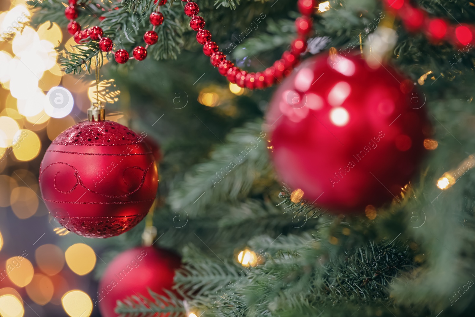 Photo of Red baubles hanging on Christmas tree, closeup. Bokeh effect