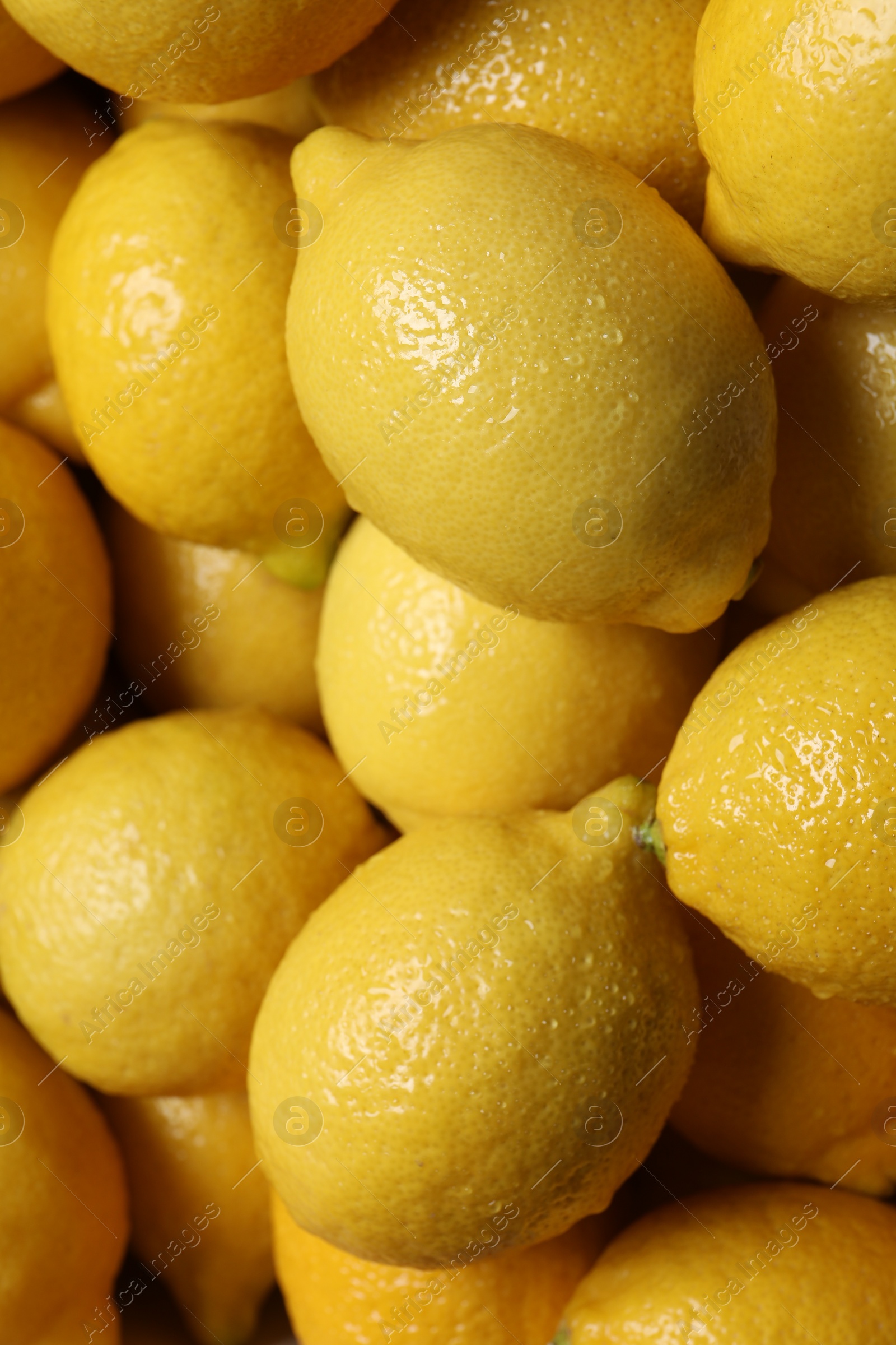 Photo of Fresh lemons with water drops as background, closeup