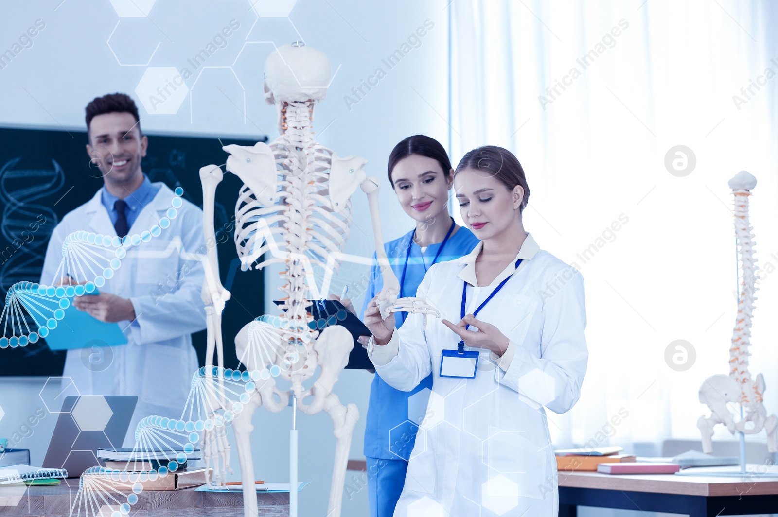 Image of Medical students studying human skeleton anatomy in classroom