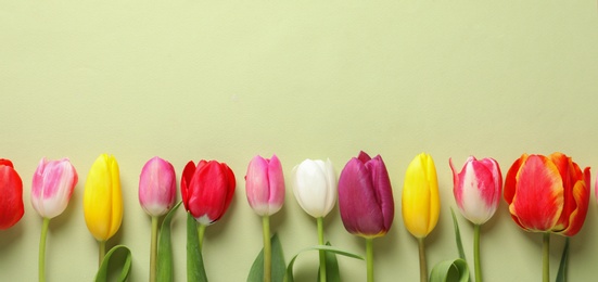 Photo of Beautiful spring tulips on color background, top view. Space for text