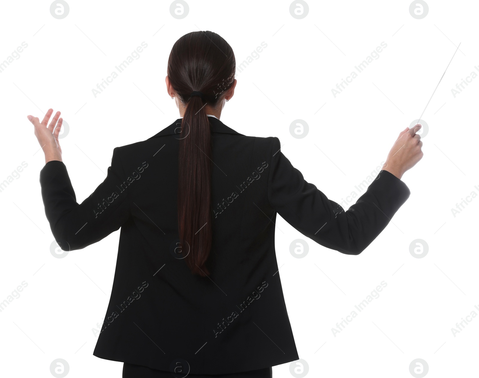 Photo of Professional conductor with baton on white background, back view