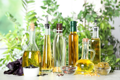 Photo of Different sorts of cooking oil in bottles and ingredients on light table