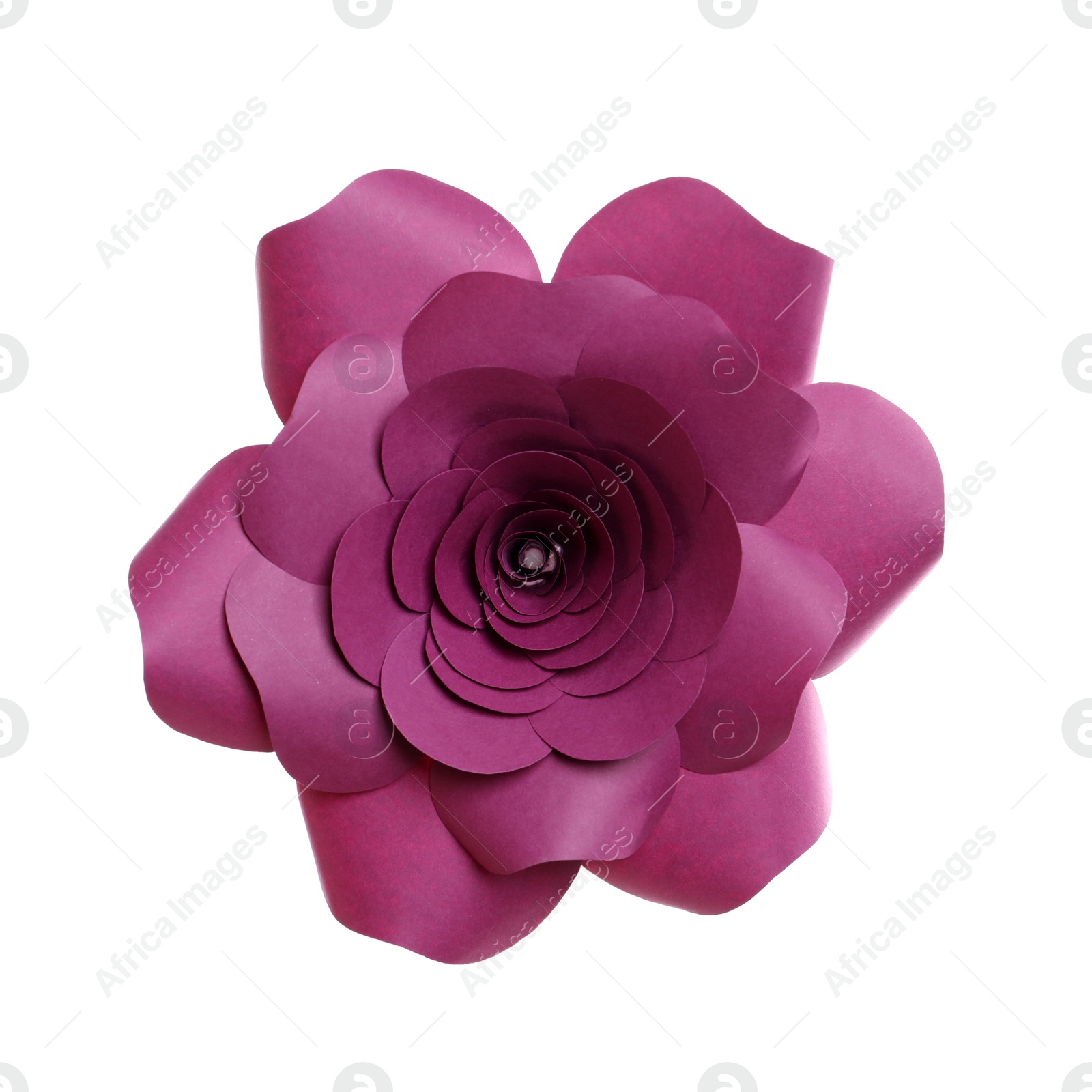 Photo of Beautiful flower made of paper isolated on white