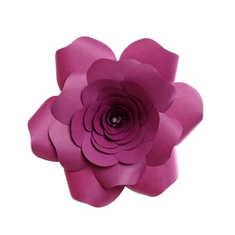 Beautiful flower made of paper isolated on white
