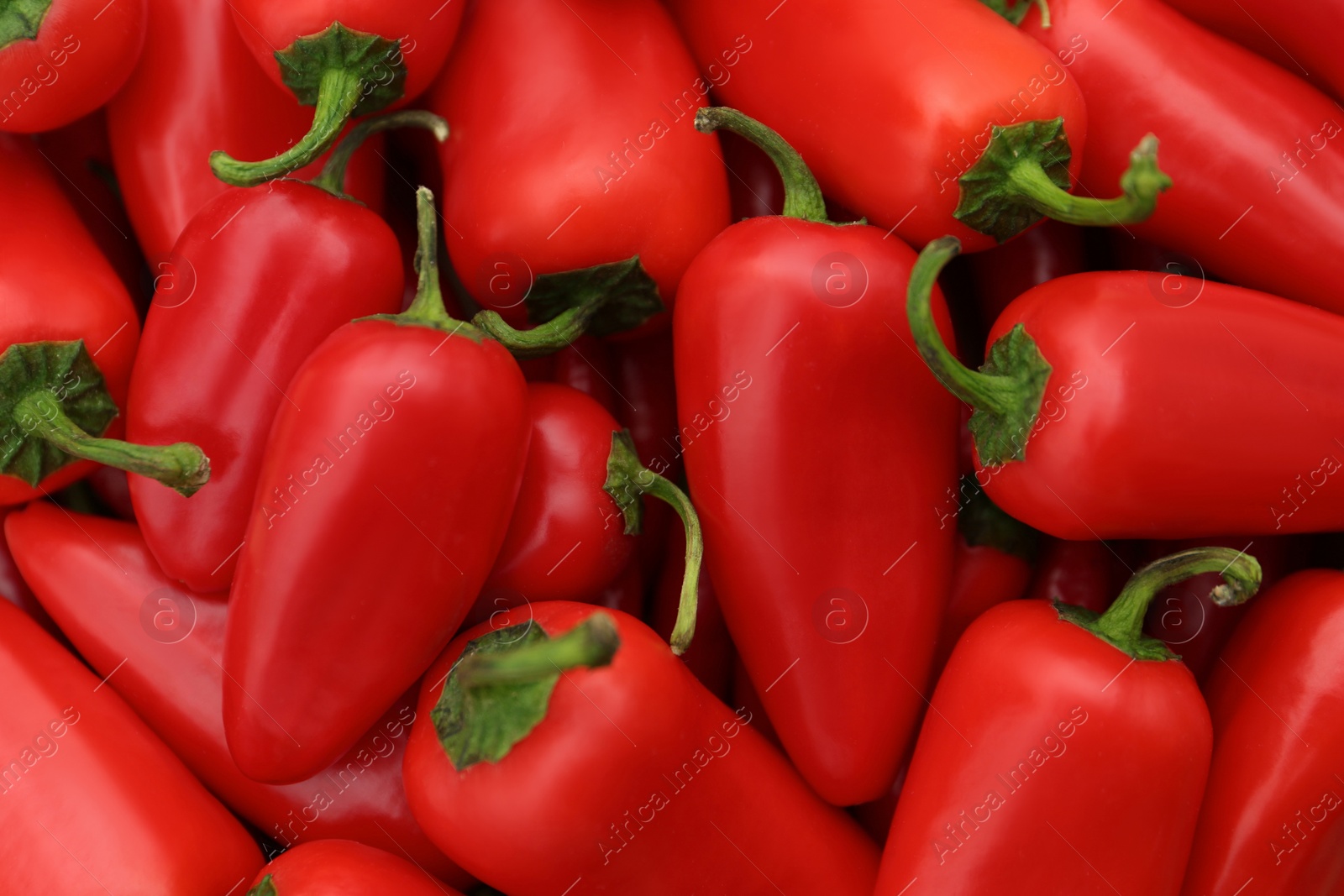 Photo of Red hot chili peppers as background, top view
