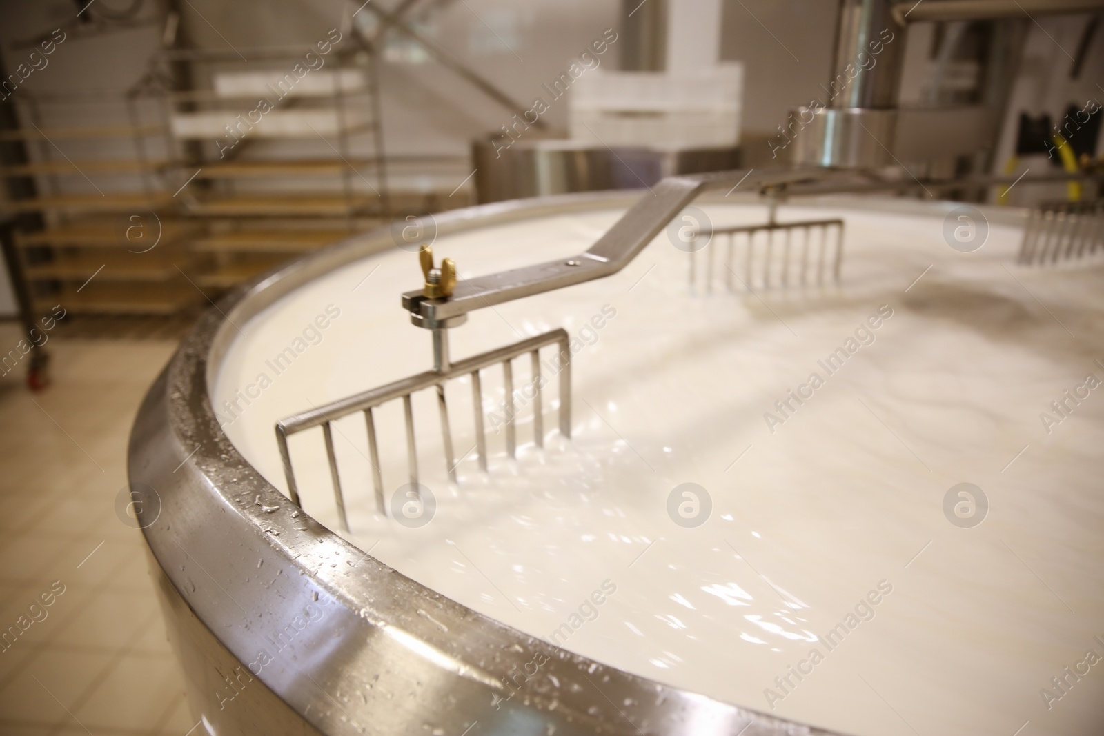 Photo of Milk in curd preparation tank at cheese factory