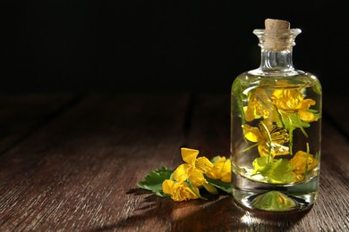 Photo of Bottle of celandine tincture and plant on wooden table, space for text