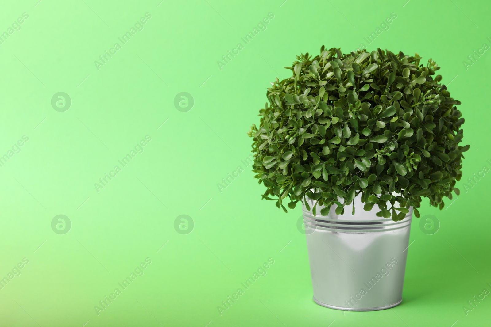 Photo of Beautiful artificial plant in flower pot on green background, space for text