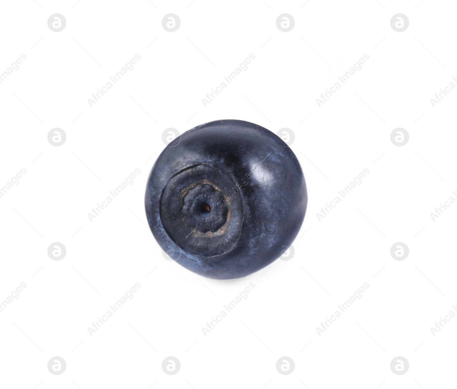 Photo of One tasty ripe bilberry isolated on white