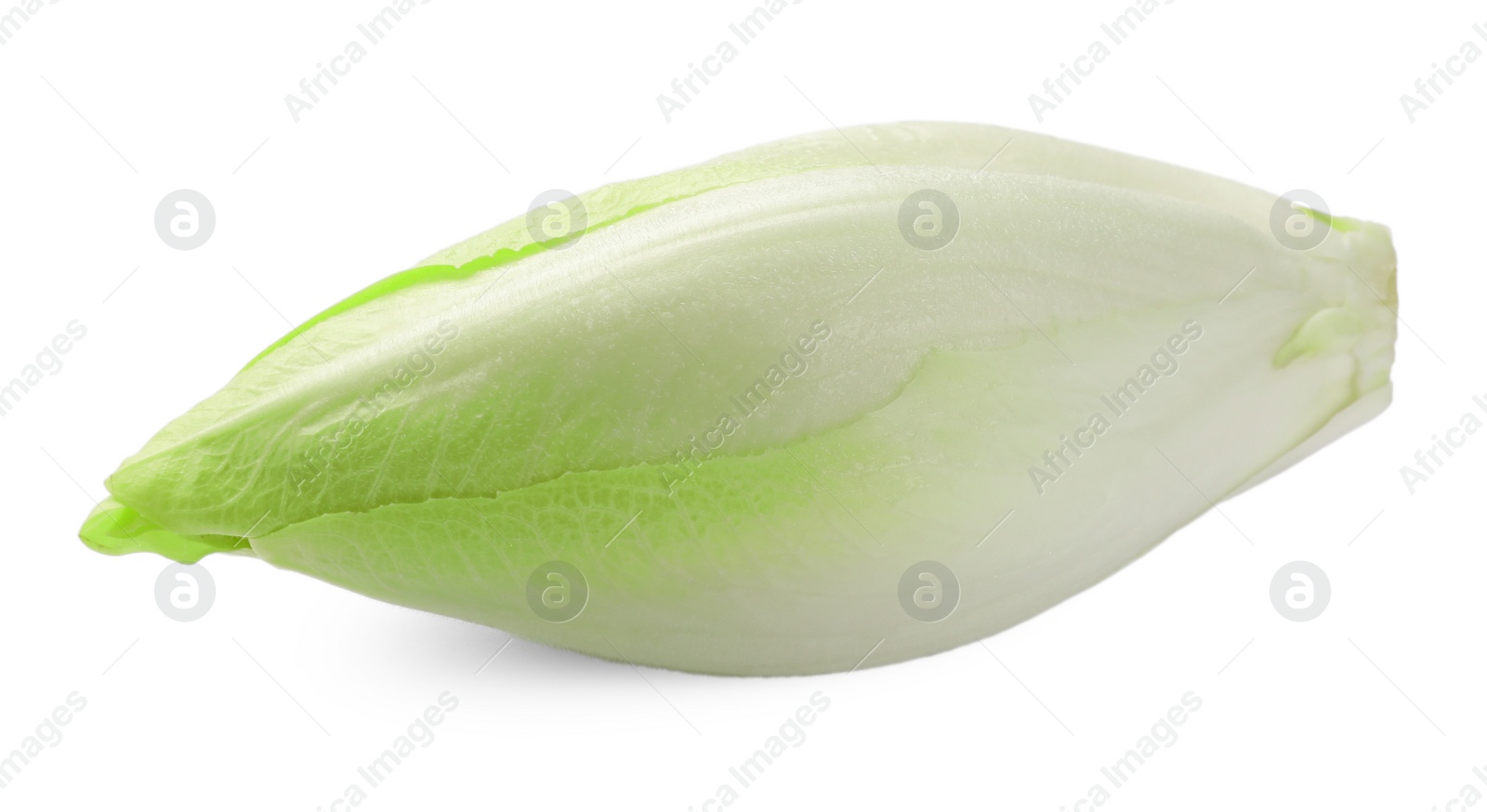 Photo of One raw ripe chicory isolated on white